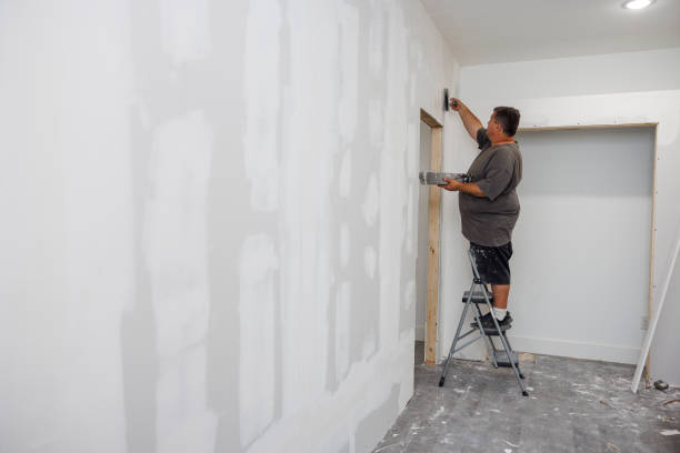 Trusted Rendon, TX Mold Removal Experts